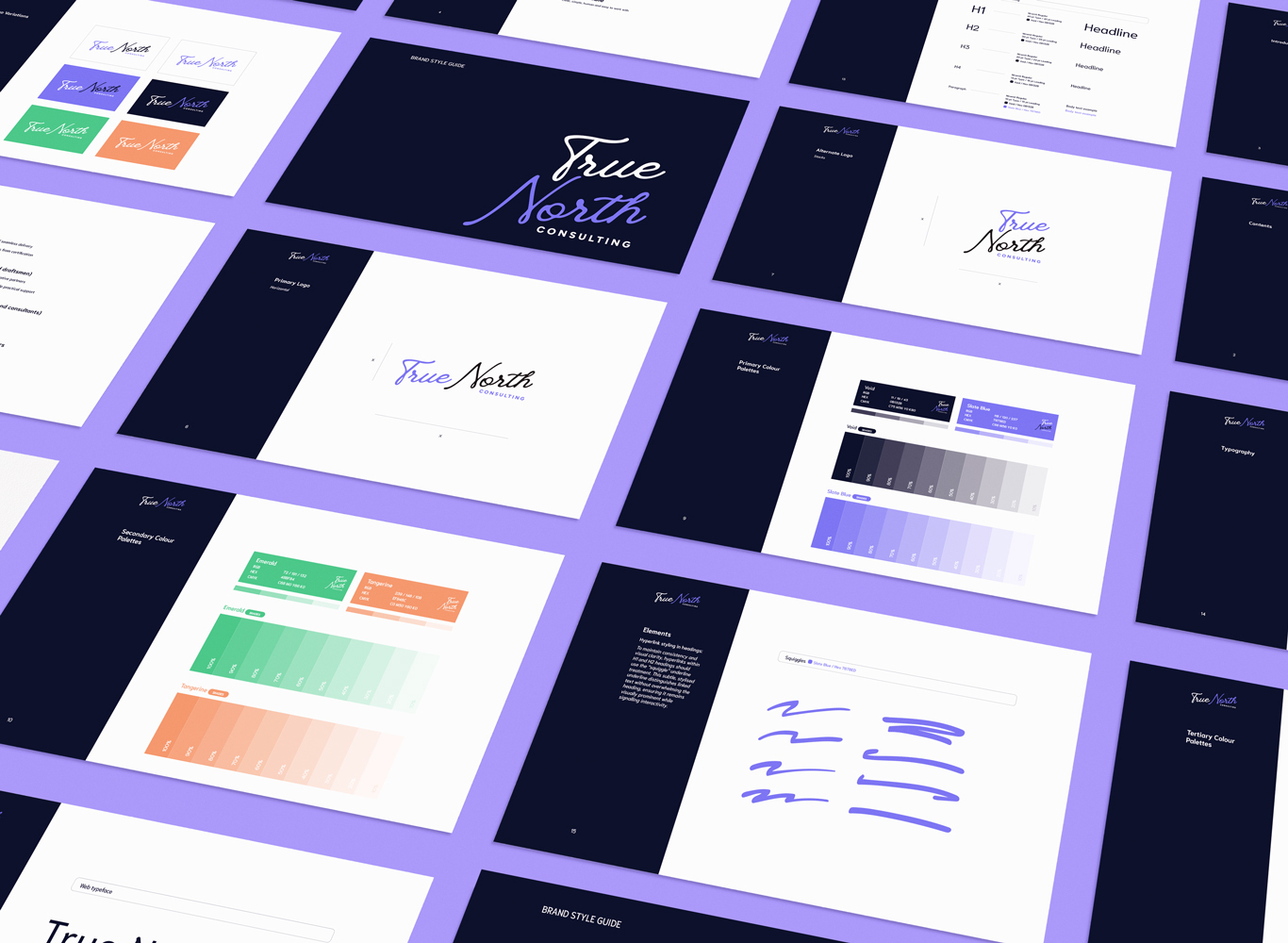 A snapshot of True North’s new brand identity, bringing clarity and professionalism to their communications